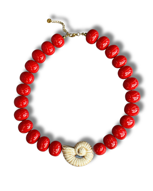 Stone&Shell